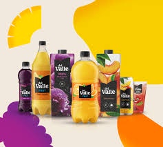 SUCO DEL VALE - 290 ML