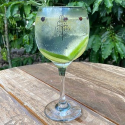 GIN TONIC