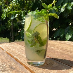 MOJITO DA CASA