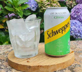 SCHWEPPES CITRUS LATA