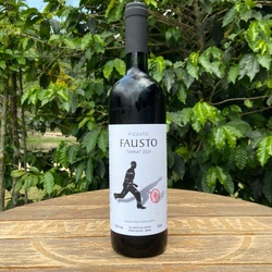 Pizzato Fausto - 2021