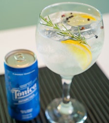 Gin Tônica
