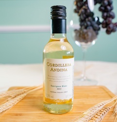 Cordillera Andina - Chile (1/4 Garrafa)