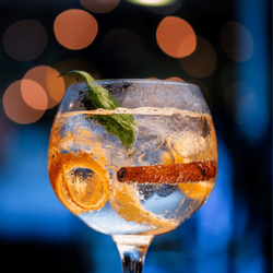 Gin Gordon com especiarias