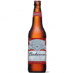 Budweiser 600ml