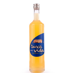Busca Vida