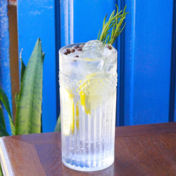 Gin tônica