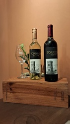 Vinhos em garrafa 