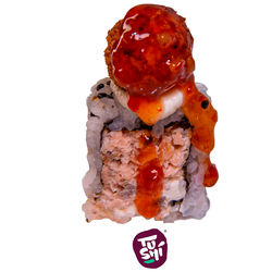 Uramaki Especial Etibance