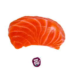 Sashimi Salmão