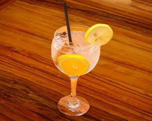 GIN TÔNICA E ESPECIARIAS