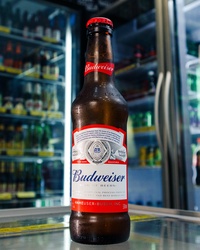 BUDWEISER LONG NECK