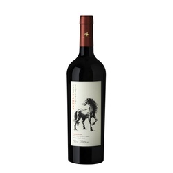 CASA VENTURINI TANNAT