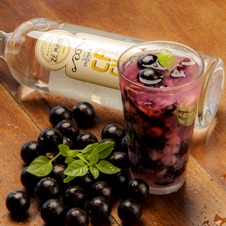 JABUTICABA