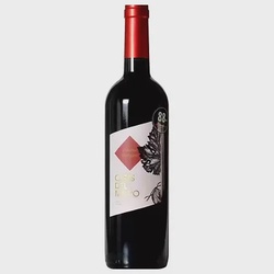 CASAS DEL MAIPO CABERNET SAUVIGNON