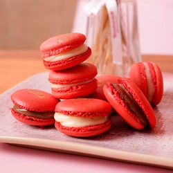Macaron De Belga Branco