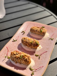 Croqueta de ragu com molho cítrico 