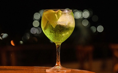 GIN MAÇÃ VERDE