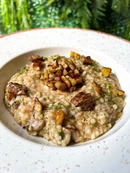 Risoto Terra