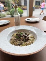 Risoto Porto Bello (Vegetariano)