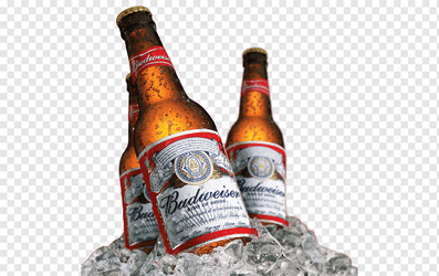 Cerveja Budweiser Long Neck