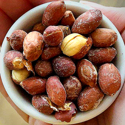 Amendoim