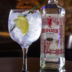 Gin & Tônica